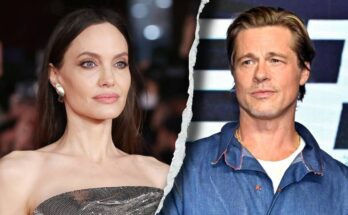 Angelina Jolie and Brad Pitt Divorce