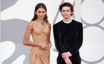 Zendaya and Timothee Chalamet