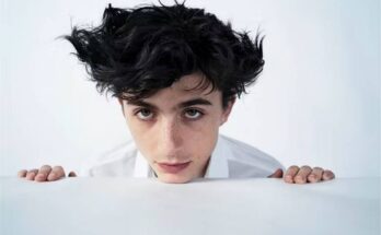Timothée Chalamet Acting Style