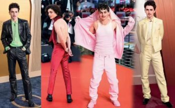 Timothée Chalamet Aesthetic